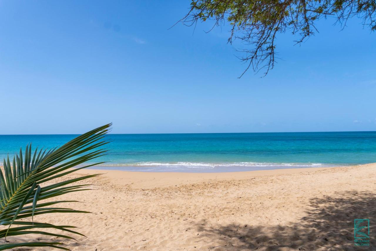 Magnifique Et Spacieux T2 Proche De La Plage - La Kiss House Lägenhet Deshaies Exteriör bild